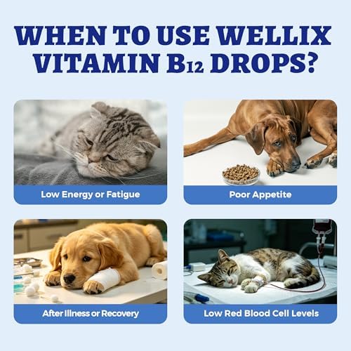 Wellix 4.06 fl oz Vitamin B12 Liquid with Taurine for Dogs and Cats
