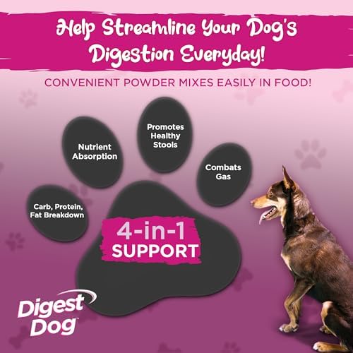 Vital Planet - Digest Dog Digestive Pancreatic Enzyme Blend with Pumpkin and Fennel to Support the Pancreas and Healthy Digestion with Pancreatin, Beef Flavored Powder for Dogs - 111 Grams 30 Scoops