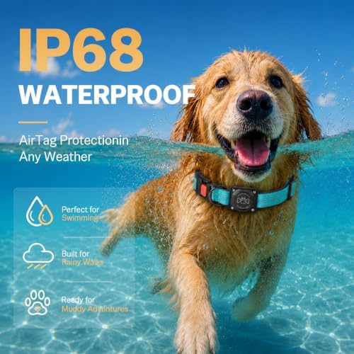 Dog Collar with AirTag Holder Waterproof QR Code Reflective Collar(Blue,L) | Built-in Waterproof Holder, QR Code Tag, Reflective,Secure Buckle