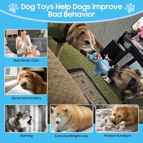 No Stuffing Squeaky Dog Toys Soft Plush for Small Medium Large Breed