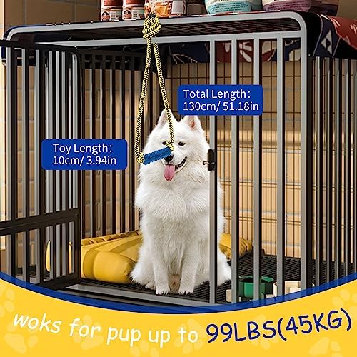 Interactive Dog Toys，Crate Training Aids for Puppies，Blue