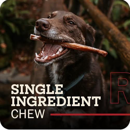 Redbarn 7" Bully Sticks 100% Natural, Long Lasting, Rawhide Free, 35 Count