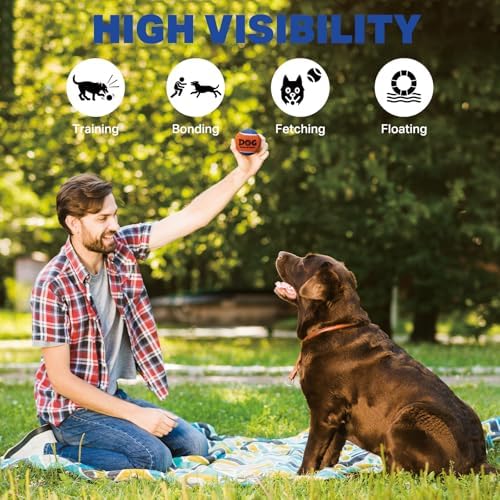 AMA SPORT Squeaky Tennis Balls for Dogs 2.5" Small Medium Dog Tennis Balls for Throwing and Fetching Dog Toys for Training, Exercise, High Bouncing 4 Pack (Orange Pink)