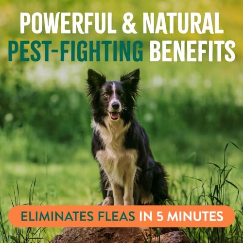TropiClean Flea and Tick Shampoo & Spray for Dogs, Protect & Repel, 2 Pack