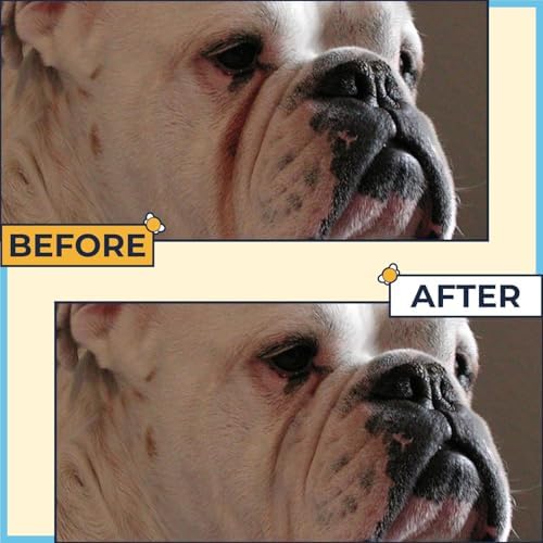 Paste for Bulldogs Wrinkle 2oz+ 50 Wrinkle Wipes French Bulldog
