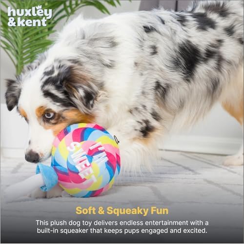 Huxley & Kent Power Plush Squeaky Dog Toy, I'm Sweet Lollipop, Large