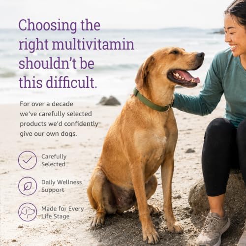 Dog Multivitamin Chewable - 22 in 1 Dog Vitamins and Supplements with Green Lipped Mussel & Omega 3 for Joints, Skin & Coat, Immune System - Senior & Puppy Multivitamin for Dogs - 60 Beef Chews
