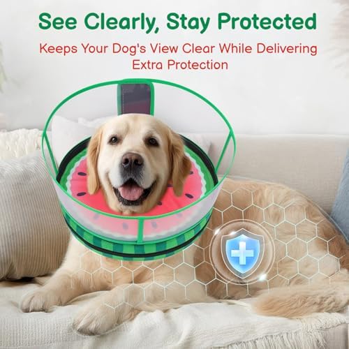 Dog Cone, No-Inflation Sponge Donut Collar for Dogs After Surgery