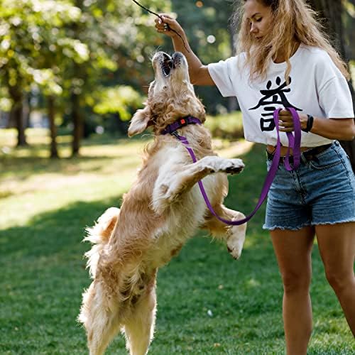 Reflective Dog Collar, Quick-Release Buckle (Purple, 10-13 Inch)