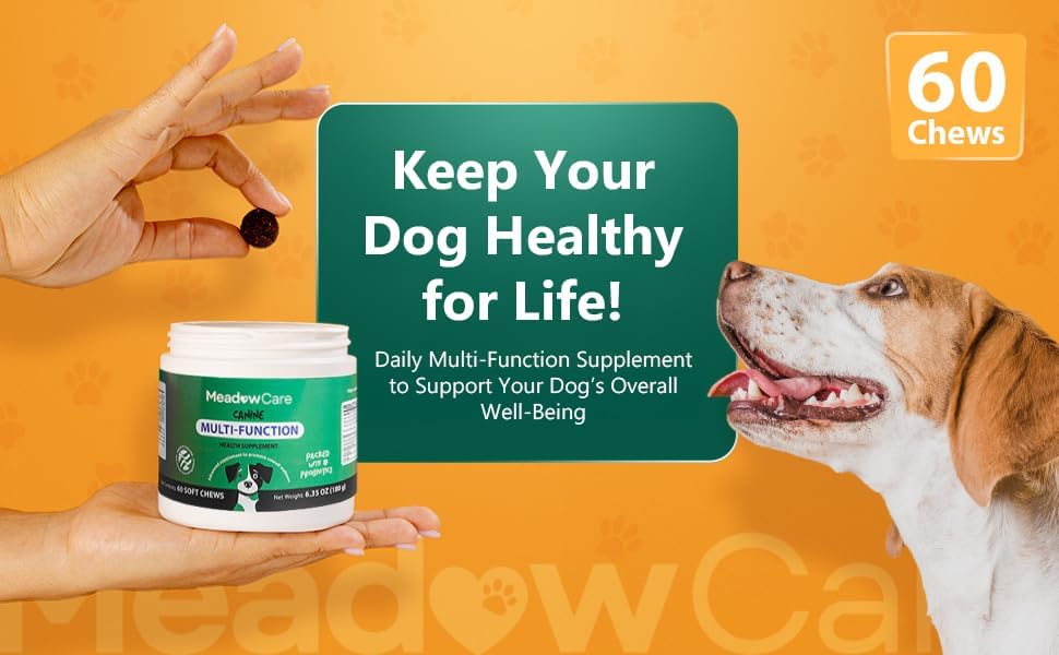 Multi-Function Supplement for Dogs | Supportive Daily Nutritional Soft Chews | Joint Mobility, Skin & Coat | Immune Support with Probiotics | 60 Count, 180 g (6.35 oz) | by Meadowcare