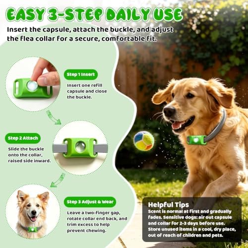 Natural Flea and Tick Collar Kit for Dogs, 1 Collar with Silicone Buckle and 4 Capsules, Water-Resistant Dog Flea & Tick Collar for Small Medium Large Dogs