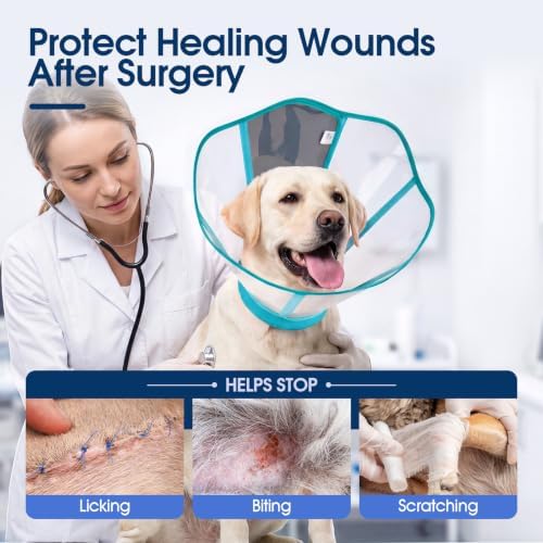 Dog Cone Collar After Surgery, Clear Recovery Collar to Stop Licking