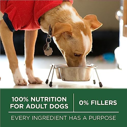 Purina ONE Plus Small Breed Lamb and Rice Formula Dry Dog Food - 7.4 lb. Bag