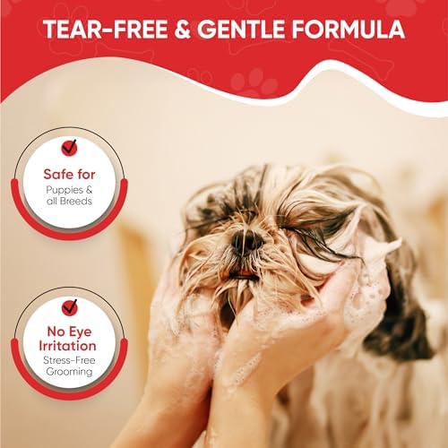 Warren London Foaming Pet Facial – Tear Free Dog Face Wash & Tear Stain Remover | Gentle Puppy & Dog Face Shampoo | Cucumber Melon Scent | Made in USA | 1 Gallon Refill