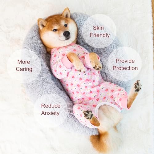 Dog Recovery Suit for Small Medium Large Dogs, Pet Onesie After Surgery Comfort Dog Bodysuit Anti Licking (Pink Bunny,M)