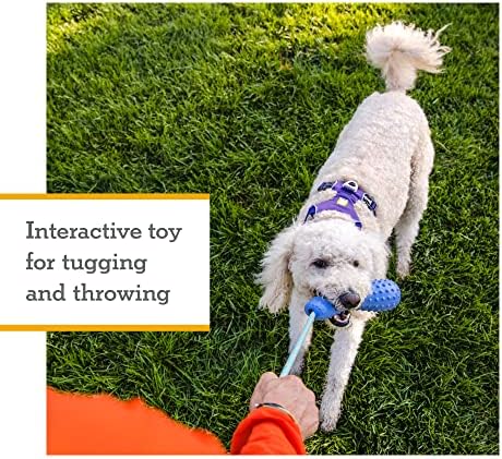 Ruffwear, Gourdo Dog Toy with Rope Handle, Heliotrope Purple, Small
