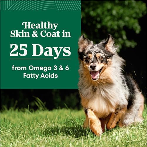 Nutro Natural Choice Senior Dry Dog Food, Chicken & Brown Rice, 30 lb