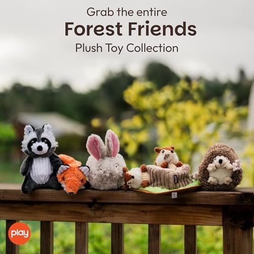 P.L.A.Y. Cute Plush Dog Toys - Forest Friends Critter Themed Durable Squeaker Crinkle Chew Toy, Great for Puppies & Small, Medium, Large Dogs - Machine Washable, Recycled Materials (Hedgehog)