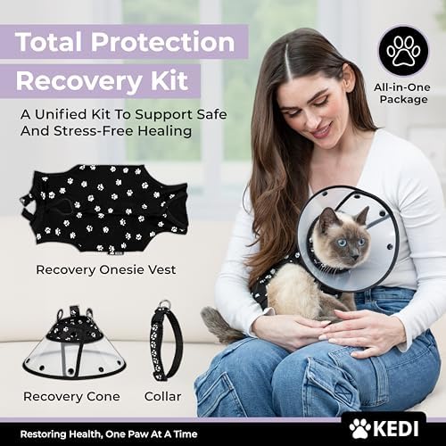 Cat Recovery Cone and Vest Kit After Surgery, Stop Licking, Black Medium