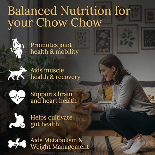 Chow Chow Multivitamins, 90 Count, Made in the USA with Real Bacon.