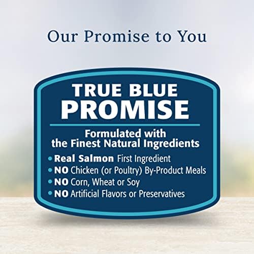 Blue Buffalo Basics Salmon Wet Dog Food Topper, 2.5 oz, 12 ct