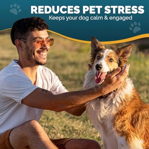 PET ARENA Adjustable Dog Snuffle Mat Interactive Feeding Toy - Multicolor