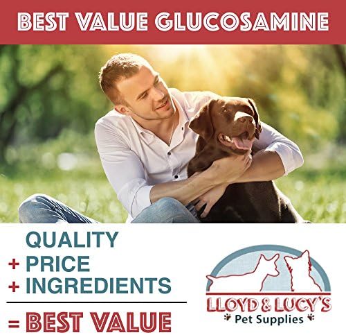 Lloyd & Lucy's Hip and Joint Supplement for Dogs - Chewable Multivitamin with Glucosamine, Chondroitin, MSM and Vitamin C - Healthy Liver Flavored Treat Pets Will Love - 180 Ct Tablets