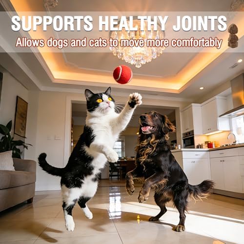 Hip & Joint Health Supplement for Dogs and Cats（150 Chews）,Contains Glucosamine, Plus Chondroitin and MSM, Supports Healthy Joints, for All Breeds and Sizes