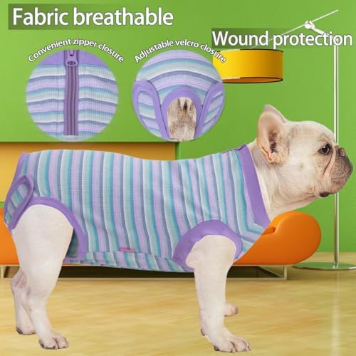 Recovery Suit for Female Dogs, Dog Cone Alternative After Spay