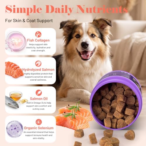 Dog Allergy Chews for Dogs - Skin & Coat, Digestive Health & Immune Support, Salmon Flavor, 2 Bottles, 240 Soft Chews