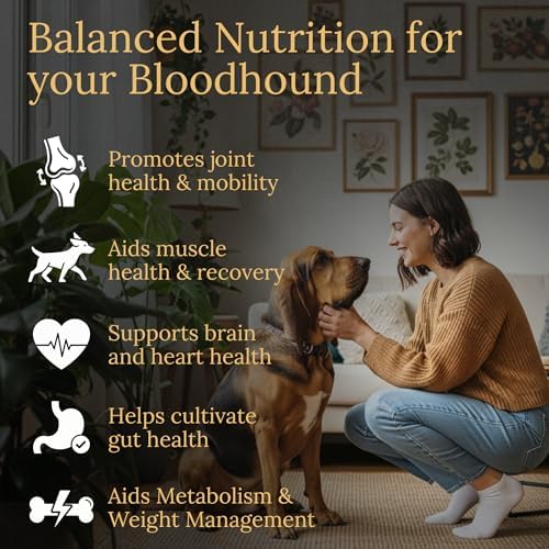 Bloodhound Multivitamins, 90 Count, Made in the USA with Real Bacon.