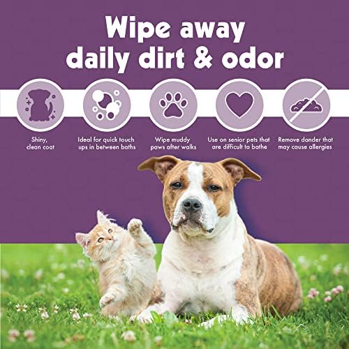 Petkin Jumbo Pet Ear Wipes, 80 Extra Moist Wipes, 2 Pack -Soothing & Deodorizing Pet Ear Cleaner to Remove Dirt, Odor, & Wax-Safe, Convenient, & Easy to Use Pet Wipes for Dogs, Cats, Puppies & Kittens