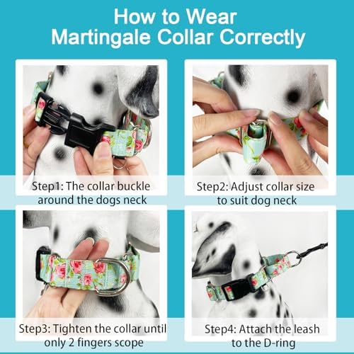 Martingale Collar for Dogs with Buckle No Pull, Green Floral, M
