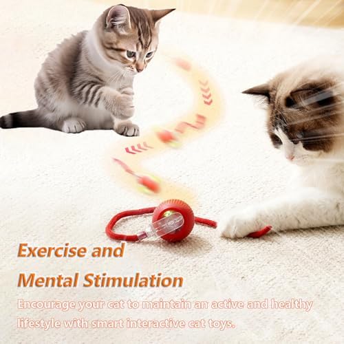 Interactive Rotating Cat Ball Toy, 360 Smart Rolling Ball Electric, Automatic Moving for Cats & Kittens (Red)