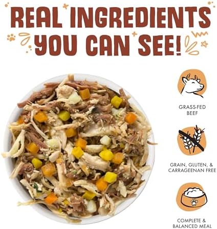 Weruva Classic Dog Food, Wok The Dog with Chicken, Beef & Pumpkin in Gravy, 5.5oz Can (Pack of 24)