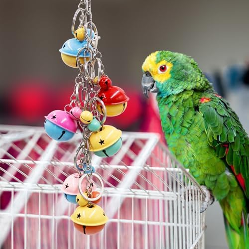 Oooct Bird Swing Bells Toys, Colorful Parrot Metal Bells, Hanging Bird Chewing Toys, Bird Cage Accessories, Suitable for Small to Medium Birds Budgie Lovebirds Conures Parakeets Cockatiels Rats