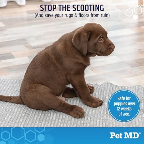 Pet MD EZ Gland - Dog Anal Gland Chews with Pumpkin and Fiber - 60ct