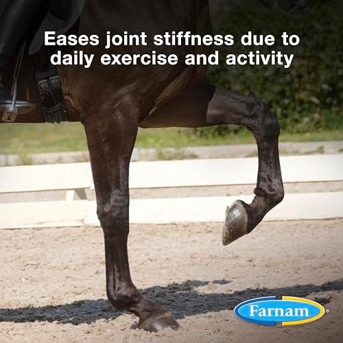 Farnam Next Level Joint Supplement for Horses & Dogs Glucosamine MSM 128 oz