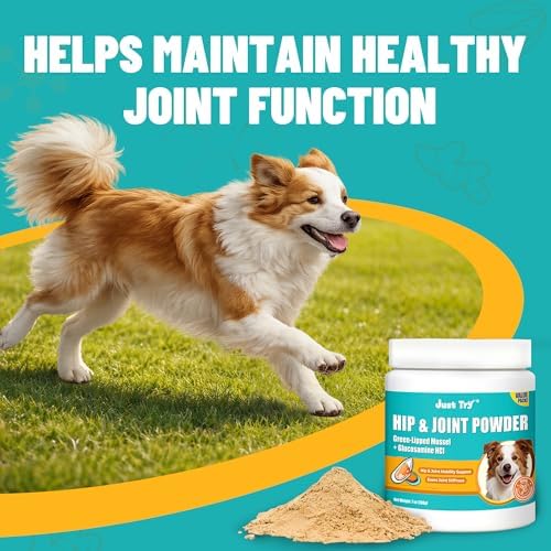 Just Try Green-Lipped Mussels Hip & Joint Powder for Dogs