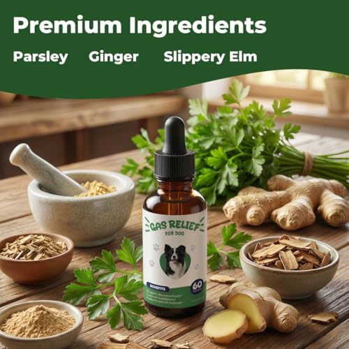 Gas Relief for Dogs Liquid Drops, Digestive Comfort & Gut Balance Support