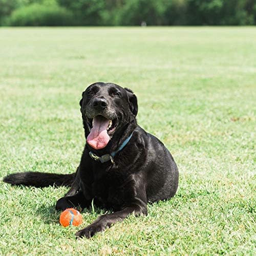 Chuckit! Dog Tennis Ball Toy, Small 2in for Dogs 0-20lbs, 2 Pack