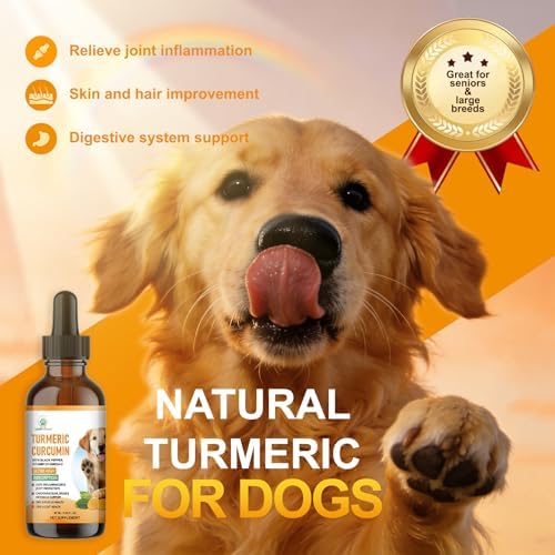 Turmeric Curcumin Joint Care Drops for Dogs, Joint Pain Relief & Mobility Support, Anti-Inflammatory, Antioxidant for Heart, Liver, Digestive Health & Healthy Skin & Coat, 100% Natural Extract ﻿