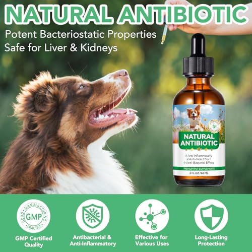 Antibiotics for Dogs, Natural Antibiotics for Dogs, Dog Antibiotics for Infection Supports Immune & Dogs Allergy Relief, Dog Multivitamin UTI Drops Natural Supplement for All Ages & Breeds-2PCS