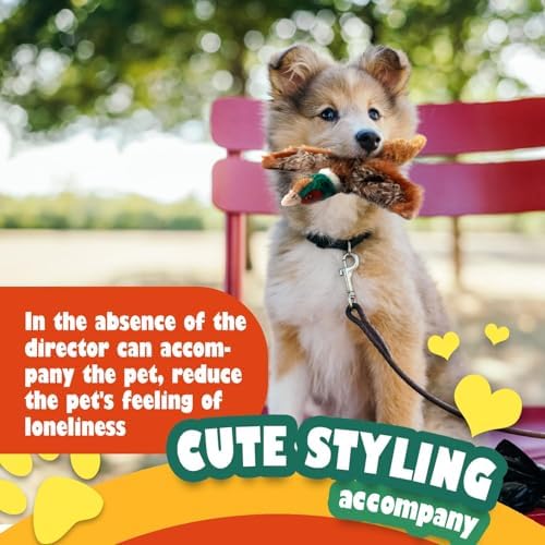 ALL FOR PAWS Squeaky Doy Toy, Pheasant Dog Toy for Small Medium Breed, Puppy Fetch Toy with Squeaker, Plush Chew Dog Toy, 9.8 x 9.8 x 2 inches, Classic-Pheasant S