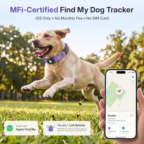 GPS Dog Collar with Tracker, Waterproof, No Monthly Fee, Purple, XS