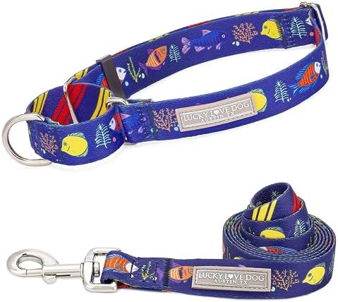 Lucky Love Dog Martingale Collar & Leash Set No Slip Cute – Mackey, Medium