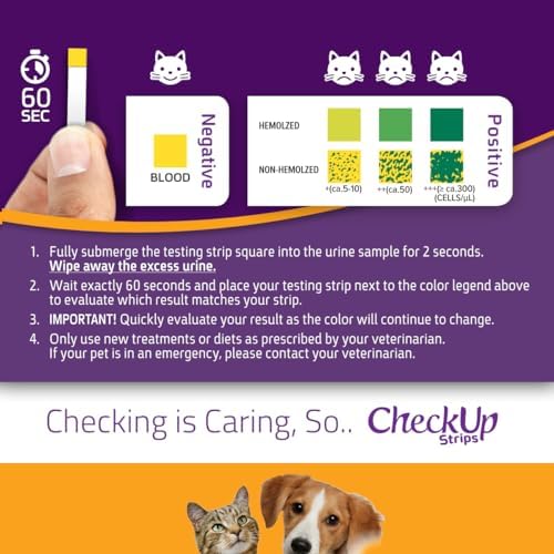 KIT4CAT CheckUp Blood in Urine Test Strips for Cats & Dogs | At-Home Hematuria Detection, Urinary Health Monitoring – 50 Reagent Strips