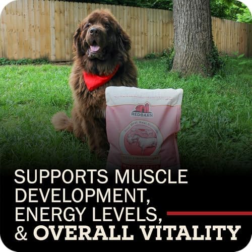 Redbarn Kibble Whole Grain Land Recipe, Premium Dog Food, 22 lbs