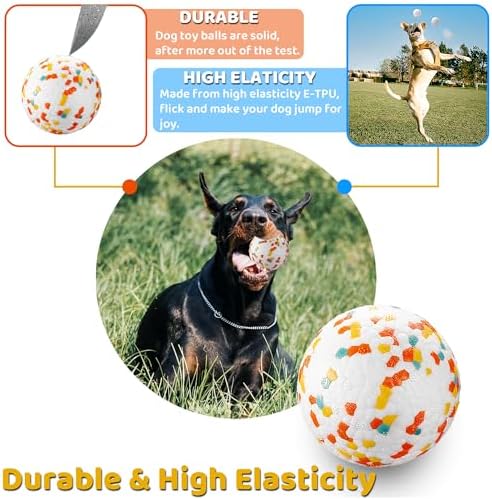 Dog Balls, Indestructible Dog Toy Ball for Aggressive Chewers, Durable High Elasticity Interactive Ball for Training Dog Catch and Fetch, Large Medium Small Dog and Puppies(3in, 1pcs)