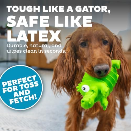 Outward Hound Accordionz Latex Rubber Squeaking Toy - Squeaky and Grunting Dog Toy, Alligator